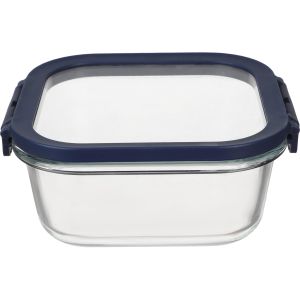 Neoflam Thermal Glass Refrigerator Box, 250 ml - Clear Blue
