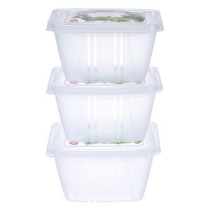 Snips Plastic Refrigerator Box Set, 3 Pieces, 0.25 Liter - Clear