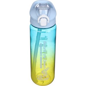 Plastic Sport Water Bottle, with Straw, 800 ml - Multicolor