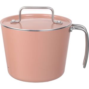 Truval Teflon Milk Pot with Lid, 16 cm, Stainless Steel Handle - Rose Silver